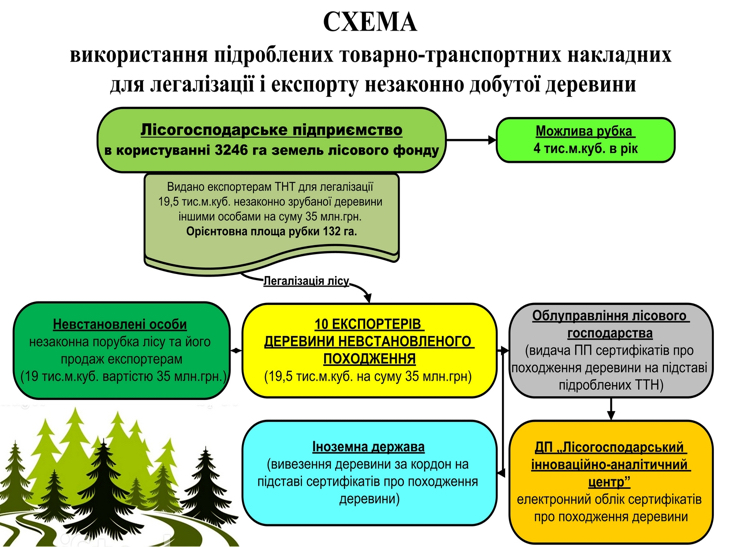 Ліси на Хмельниччині крадуть безбожно. Кара приходить не усім - фото 1