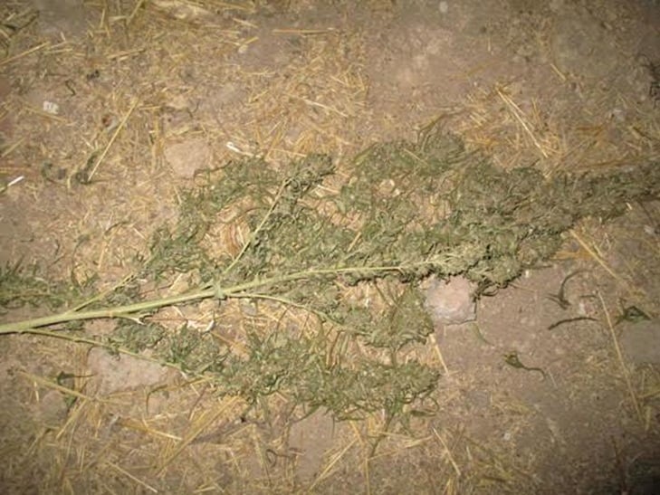 На Кропивниччині у чоловіка знайшли мішок коноплі - фото 2