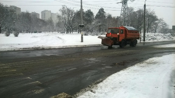 Снігова казка в Києві: Як столиця за ніч перетворилася на білосніжну красуню  - фото 9