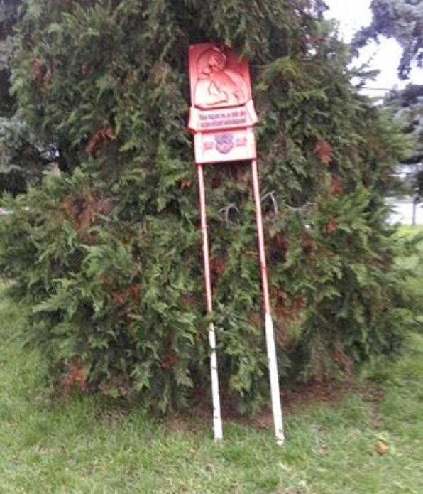 В Ужгороді хтось припер Хмельницького до дерева - фото 1