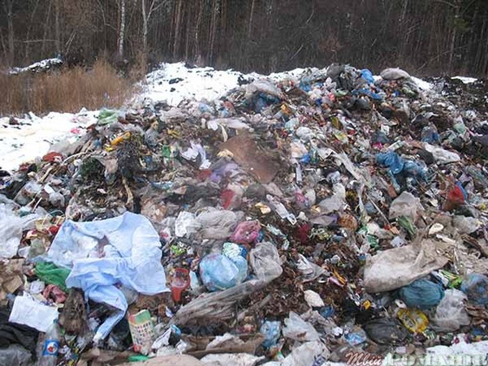 На Житомирщину знову приїхало сміття Садового - фото 2