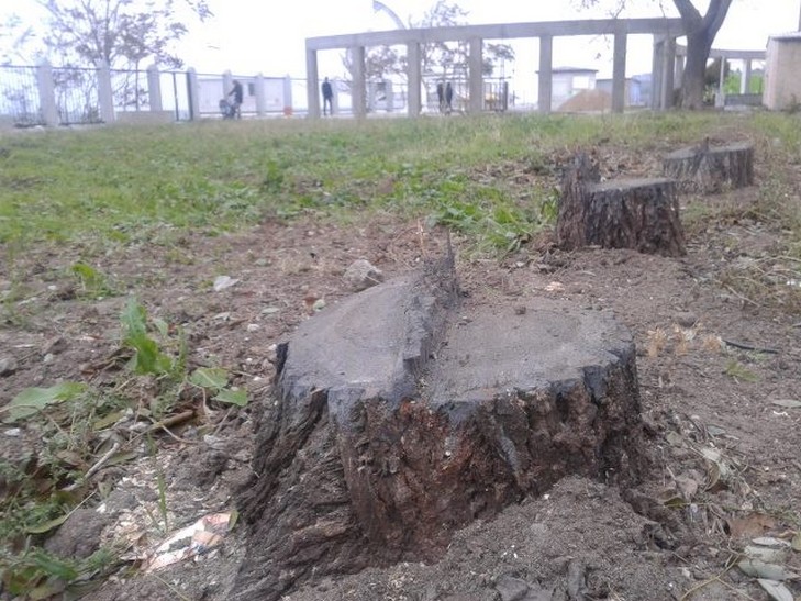 На місці повалених ураганом та вирубаних дерев в Одесі почали невідому забудову - фото 6