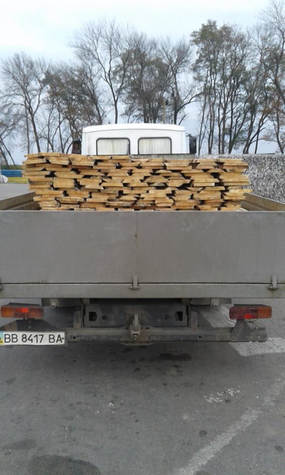 На Луганщині виявили понад 200 фактів незаконного перевезення та вирубки деревини (ФОТО) - фото 7