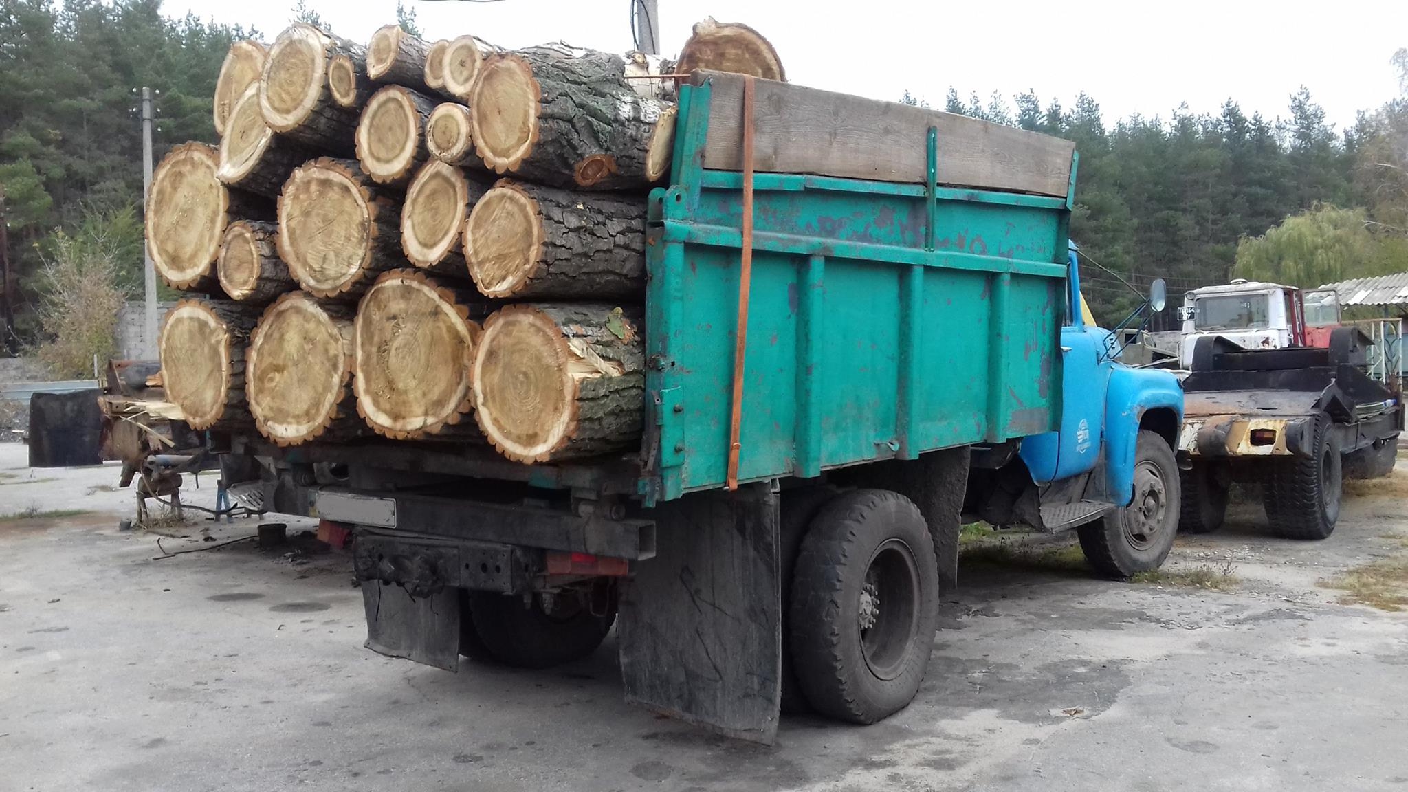 На Луганщині виявили понад 200 фактів незаконного перевезення та вирубки деревини (ФОТО) - фото 6