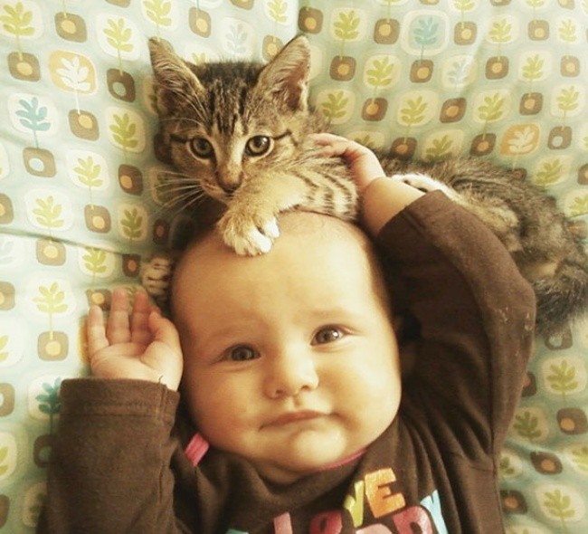 Чому коти - найкращі няньки для дітей - фото 7
