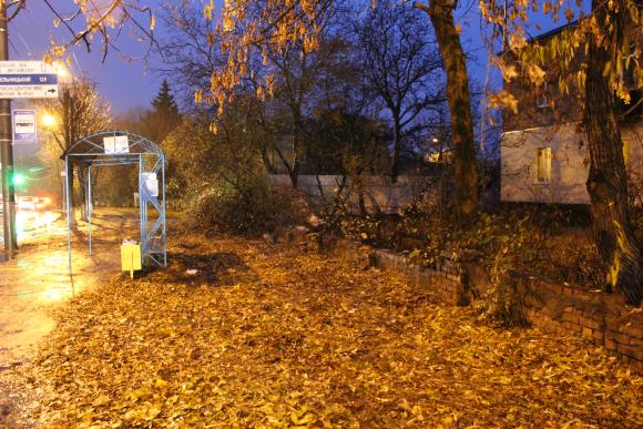 У Вінниці на зупинку громадського транспорту і припарковану машину впало дерево - фото 2