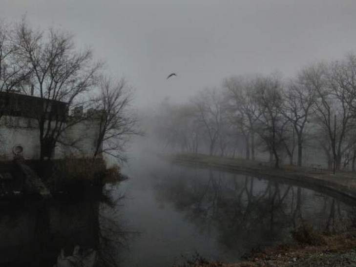 Одесу знову вкрив густий туман (ФОТО) - фото 1