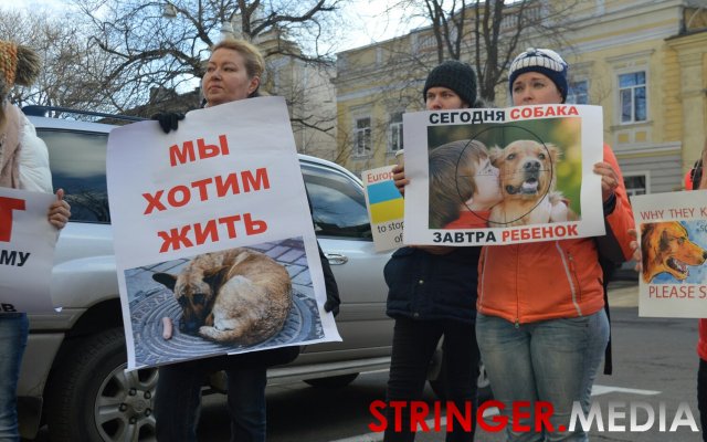 Свавілля догхантерів в Одесі продовжується: трупи тварин принесли до управління поліції - фото 1