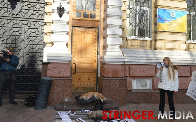 Свавілля догхантерів в Одесі продовжується: трупи тварин принесли до управління поліції - фото 2