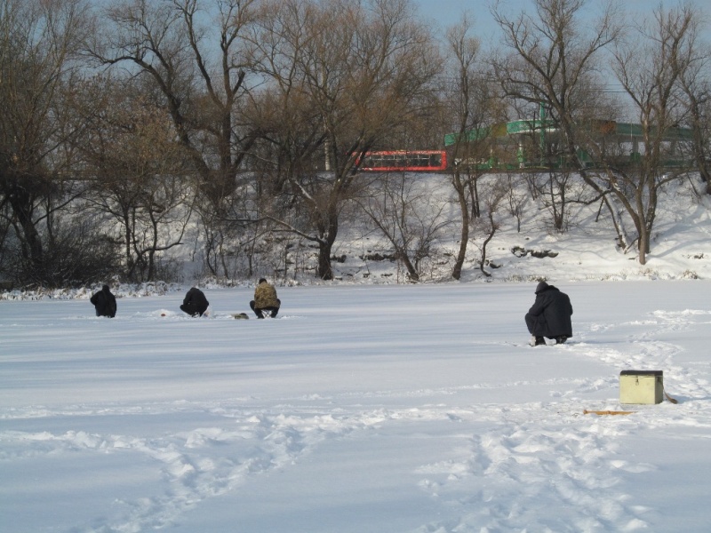 На озерах Буковини з-під льоду ловлять окуня і плотву (ФОТО) - фото 2