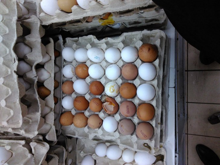 В одеських супермаркетах продають яйця з пліснявою (ФОТО) - фото 1