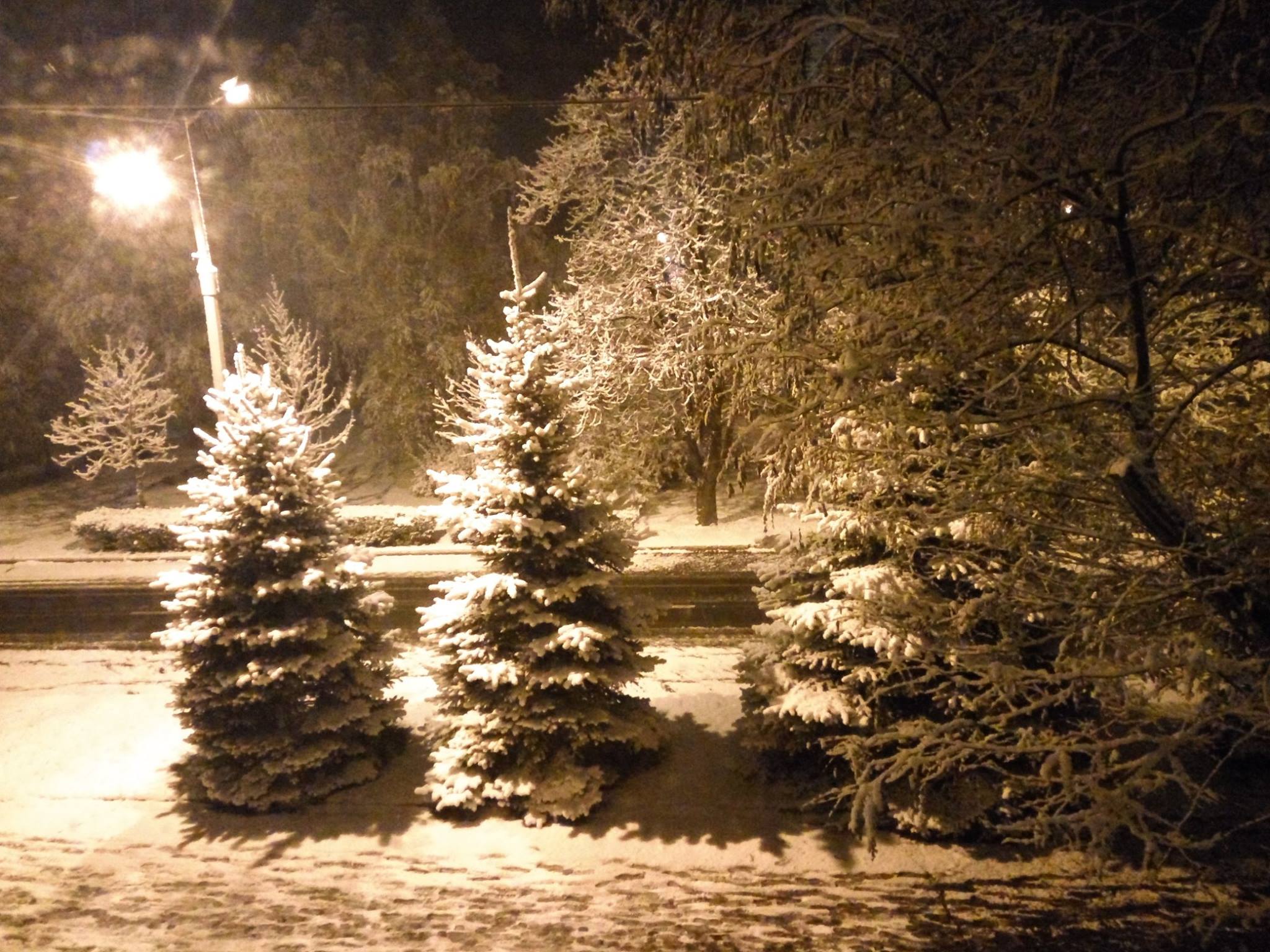 Зима близько: Краматорськ засипало снігом (ФОТО) - фото 1