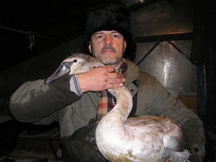 Рівненський депутат заявив, що сам кинувся у болото (ФОТО) - фото 1