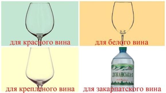 Як Ужгород першим відкоркував цьогорічне вино і дав старт винним фестивалям - фото 15