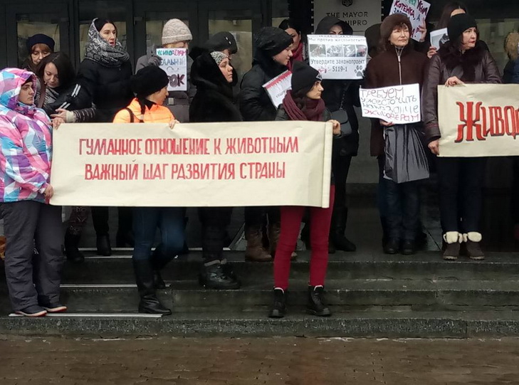 Під вікнами Філатова мітингували тварини та їх власники - фото 2