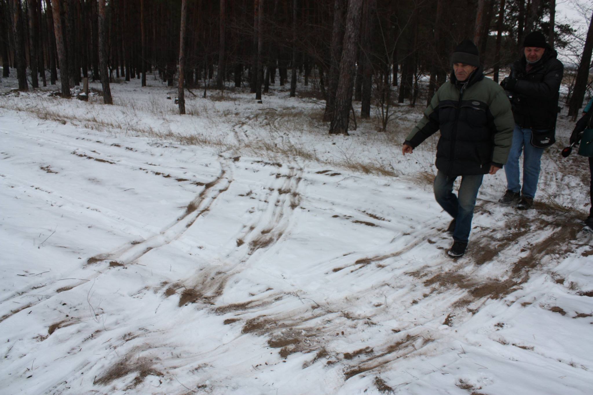 У Миколаєві спіймали "соснового" злодія, проте покарати не змогли 