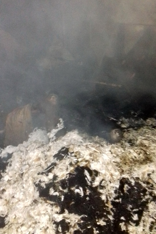 На Харківщині під час пожежі загинув чоловік - фото 2