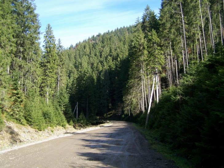 Почему село Синевир стало раем для лесорубов и сплавщиков - фото 1