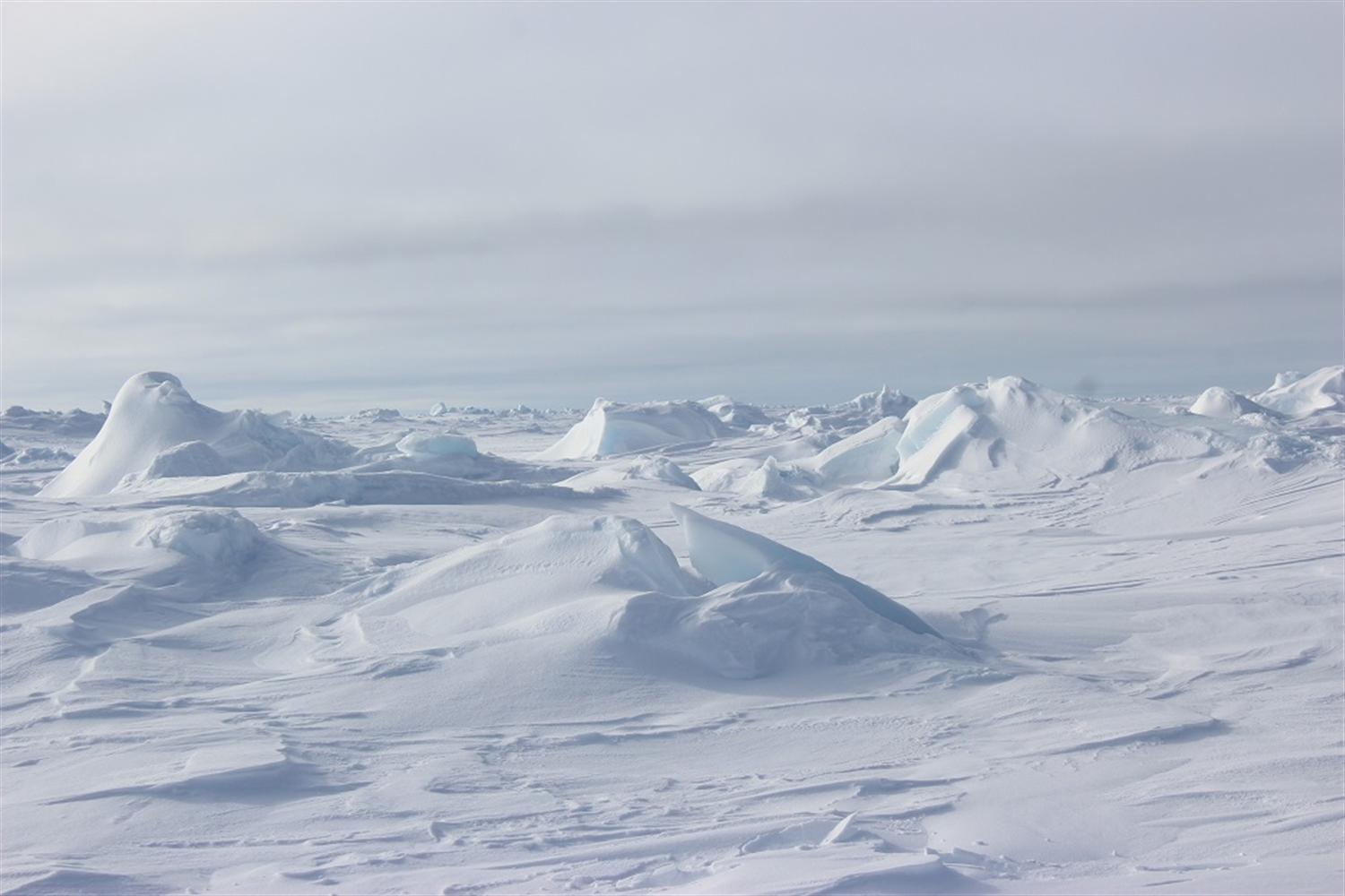 Як людина вперше підкорила Південний полюс  - фото 1