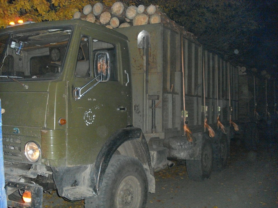 На Луганщині виявили понад 200 фактів незаконного перевезення та вирубки деревини (ФОТО) - фото 8