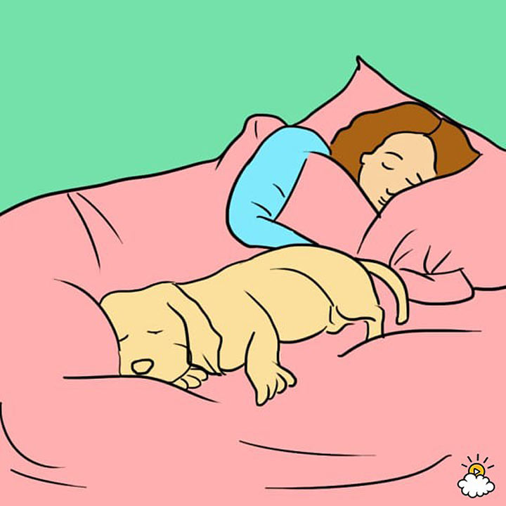 Сім несподіваних причин, чому ваш собака має спати у вашому ліжку - фото 2