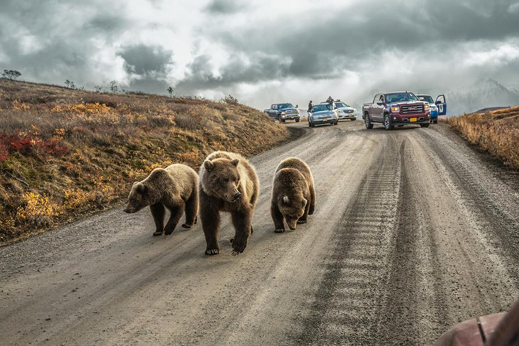 25 кращих фотографій цього року від National Geographic - фото 14