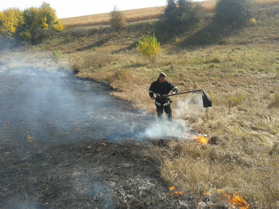 Під Києвом не вщухають трав’яні пожежі  - фото 1