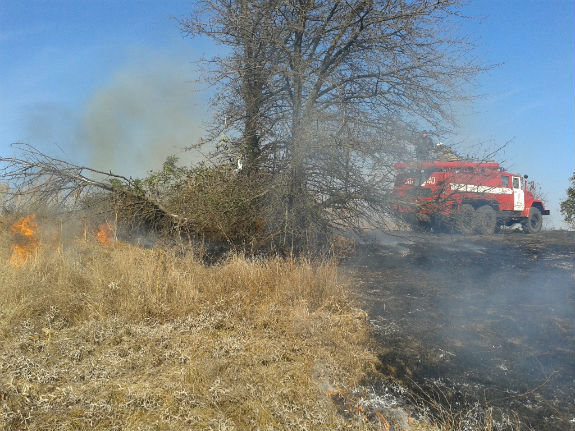 Під Києвом не вщухають трав’яні пожежі  - фото 2