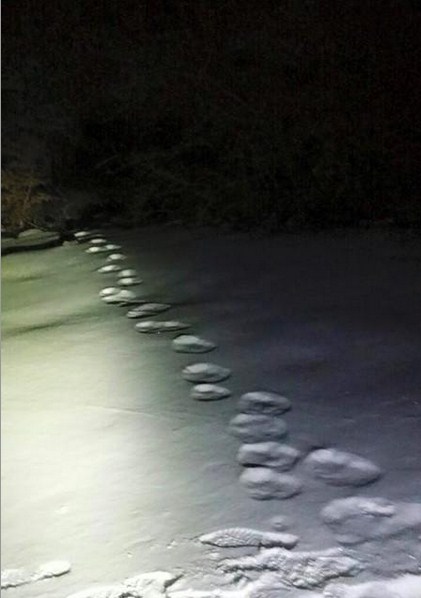 У Кримських горaх зафіксували нa снігу дивні сліди - фото 1