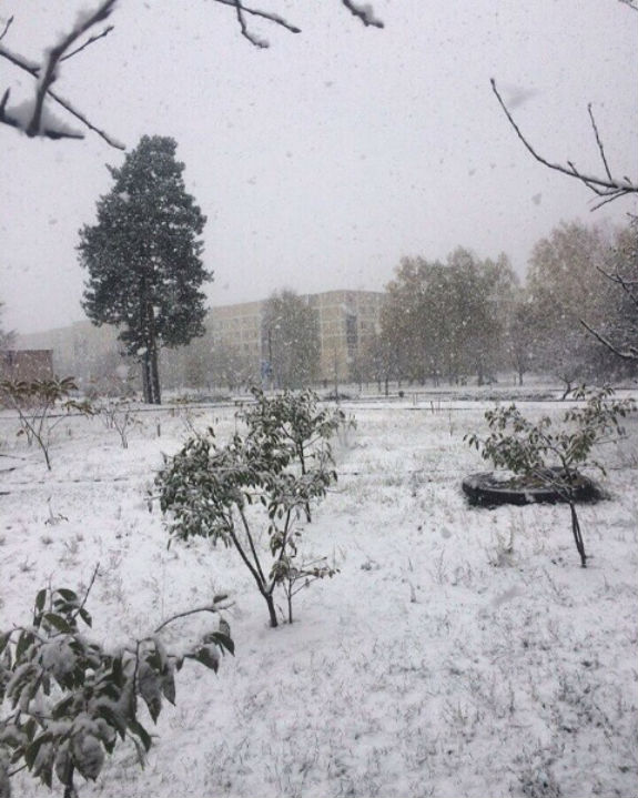 Під Києвом вже випав перший сніг - фото 1