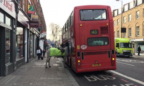В Лондоні кінь поліцейського вирішив покататися у громадському транспорті - фото 2