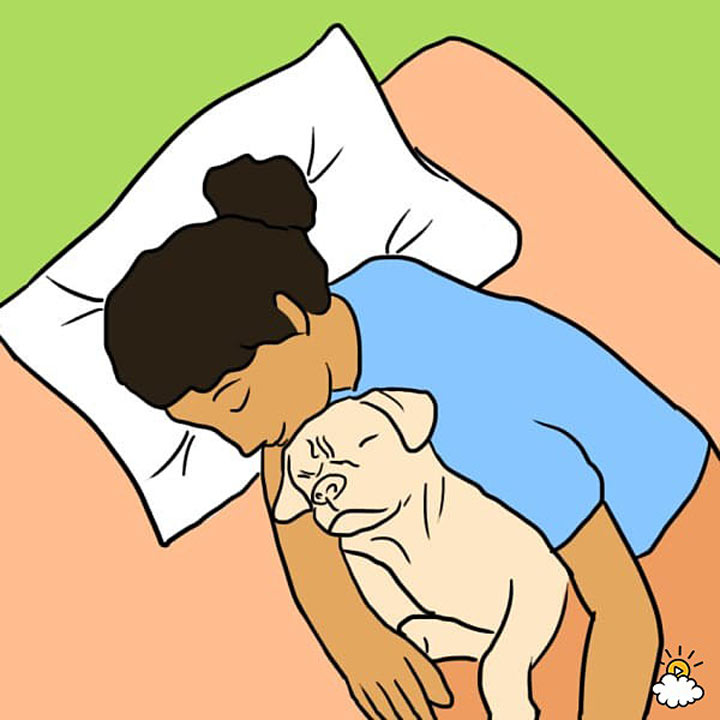 Сім несподіваних причин, чому ваш собака має спати у вашому ліжку - фото 3