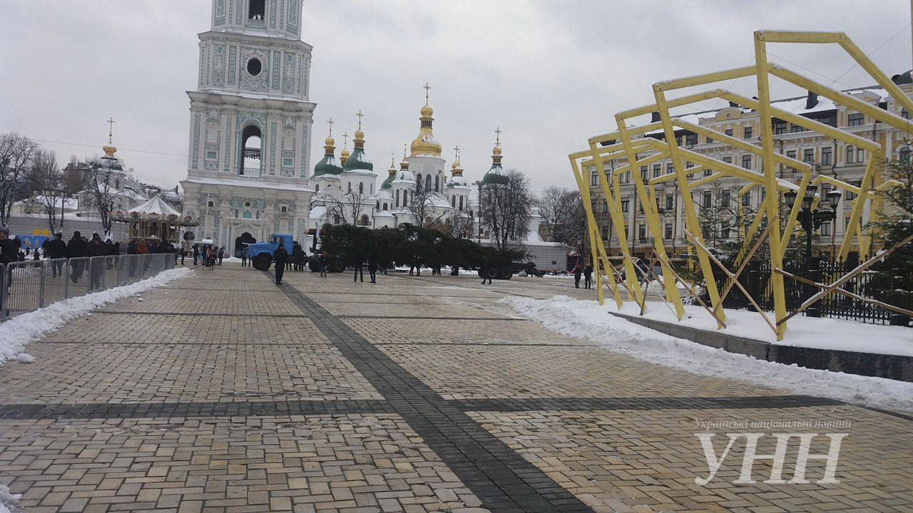 Головна ялинка країни прибула в Київ - фото 2