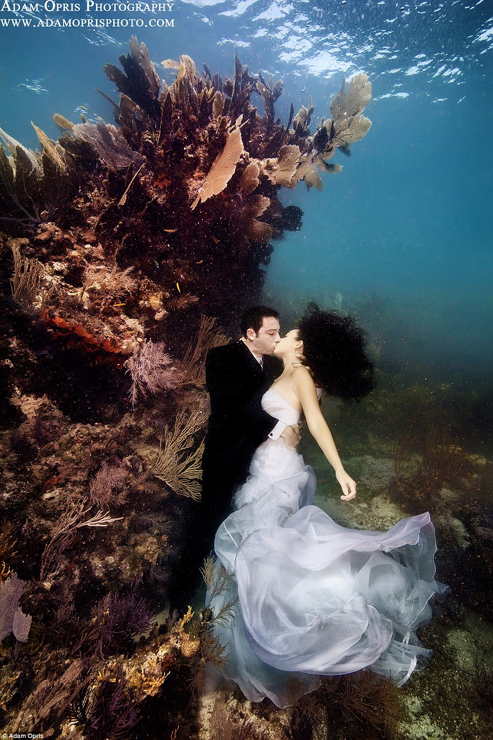 Неймовірні весільні фото під водою, через які хочеться затамувати подих - фото 3