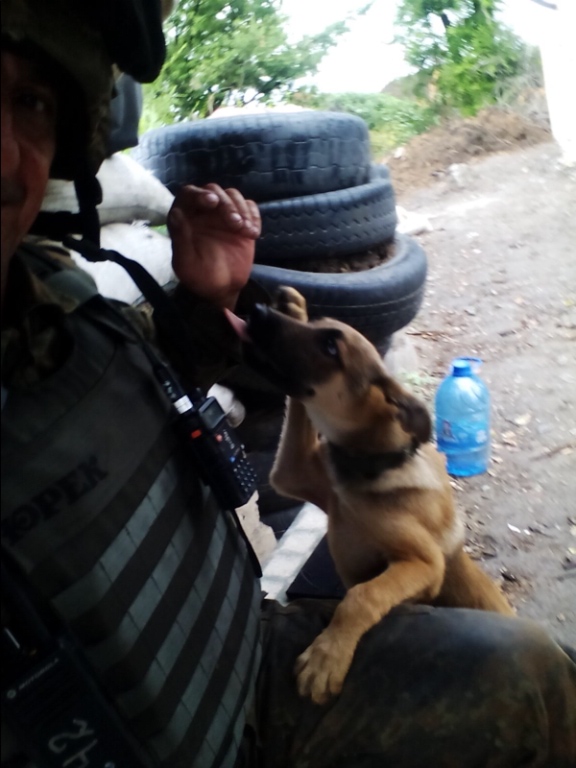 Чим займаються на Донбасі найкращі друзі бійців АТО - 12 - фото 2