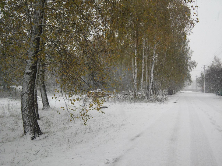 На Чернігівщині випав перший сніг, Сумщина наступна  - фото 2