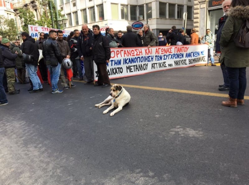 Профспілки Греції почали загальний страйк (ФОТО, ВІДЕО) - фото 4