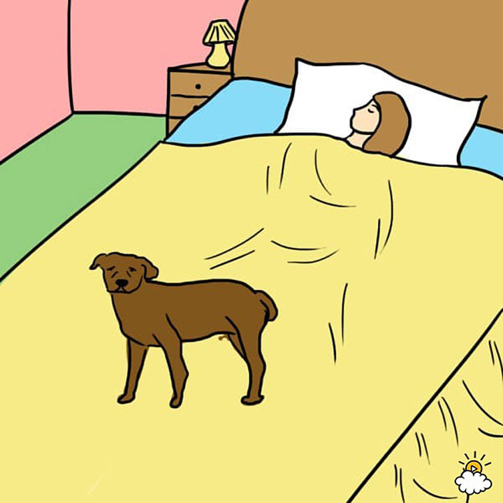 Сім несподіваних причин, чому ваш собака має спати у вашому ліжку - фото 6