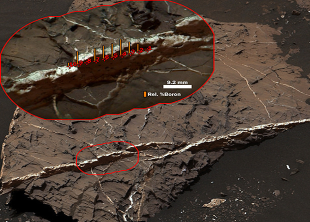 На Марсі ще один елемент життя (ФОТО, ВІДЕО) - фото 1