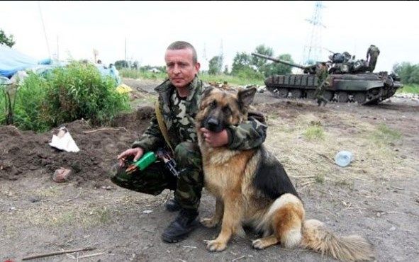 Чим займаються на Донбасі найкращі друзі бійців АТО - 12 - фото 9