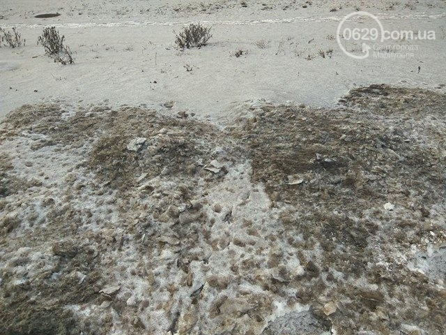У Маріуполі випав чорний сніг (ФОТО) - фото 2