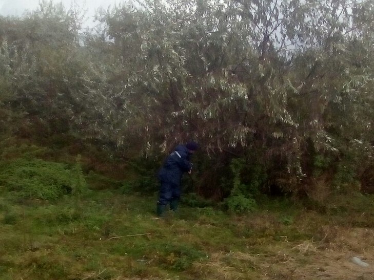 На Одещині продовжується пошук пропавших рибалок - фото 1