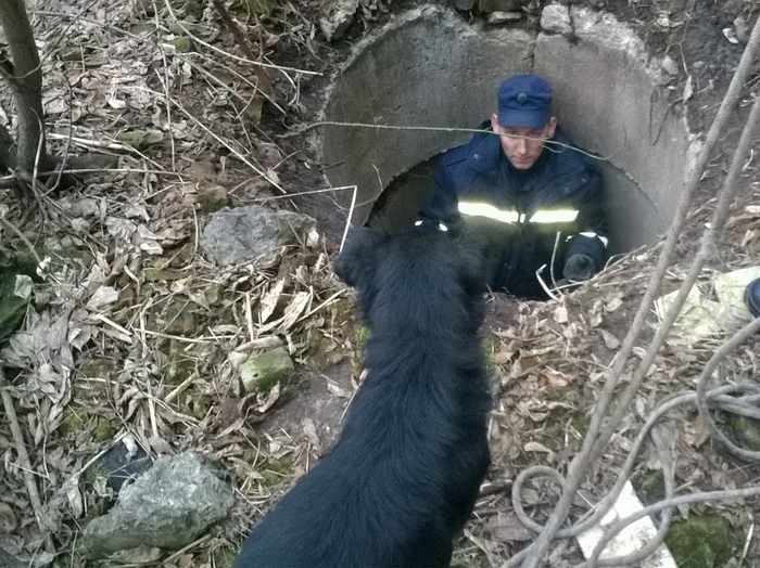 Рівненські рятувальники витягли собаку (ФОТО) - фото 1