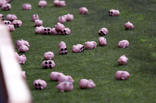 В Англії вболівальники закидали поле "свинями" - фото 2