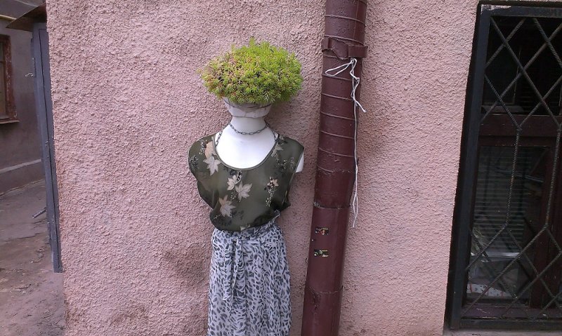 У дворі на одеській Молдаванці мешканці креативно "одягнули" рослини (ФОТО) - фото 3