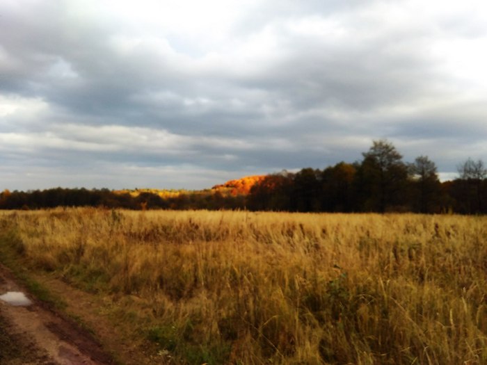 На Львівщину прийшла золота осінь (ФОТО) - фото 6