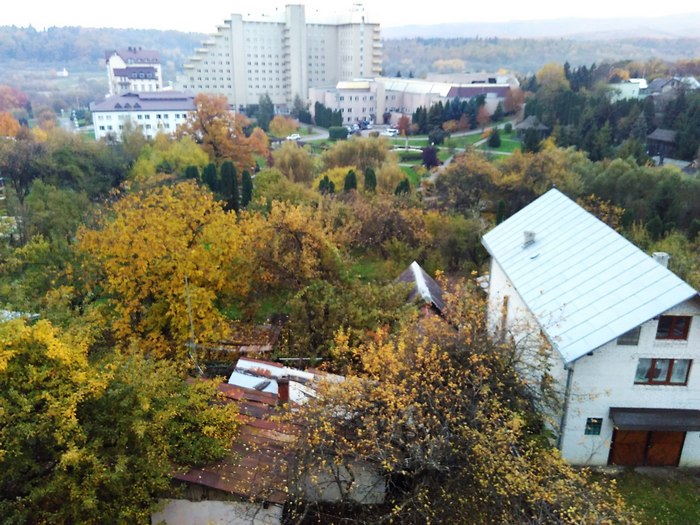 На Львівщину прийшла золота осінь (ФОТО) - фото 1