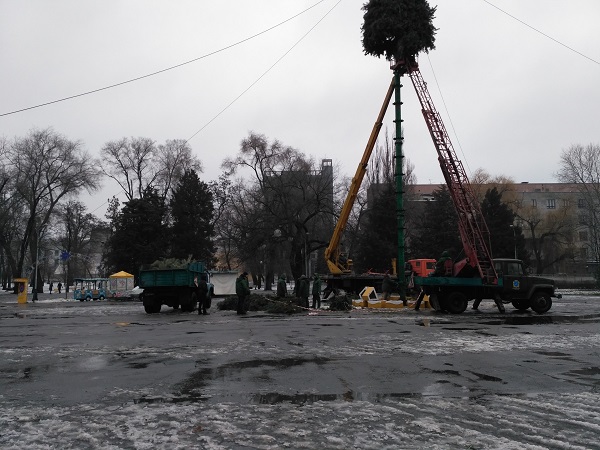 У Дніпрі комунальники встановлюють ялинку у парку Глоби  - фото 2