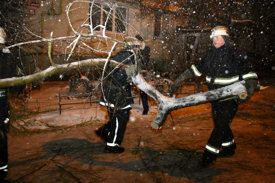 "ДСНСники" розповіли про масштаби "деревопаду" та заметілі на Вінниччині - фото 1