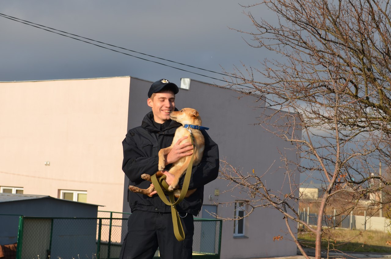 Миколаївські патрульні приєдналися до соціального фотосету з безпритульними собаками